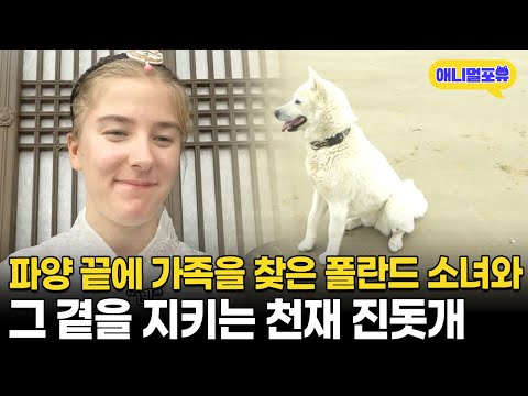 몇 번의 파양 끝에 가족을 찾은 폴란드 소녀와 곁을 지키는 진돗개 I KBS 인간극장 - 김 씨네 둘째 딸 한나 2018 방송