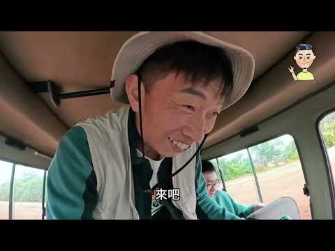 坦尚尼亞衝非洲大草原、爬吉力馬扎羅!兩個願望一次滿足 獅子、長頸鹿、非洲象、賽倫蓋提大草原、世界七頂峰、非洲最高峰