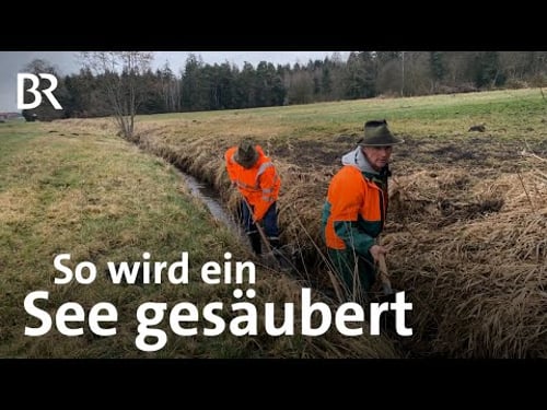 Der Pelhamer See wird sauber: Bauern organisieren Aktionen selbst | Schwaben + Altbayern | BR