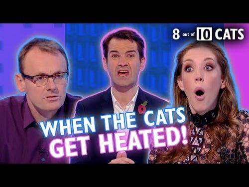 The Best CATS Rants and Raves! | 8 Out Of 10 Cats