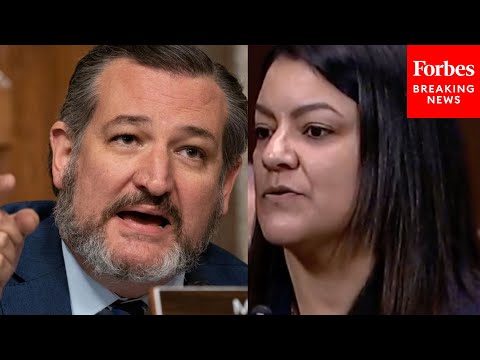 EPIC RANT: Ted Cruz Unleashes On Biden Nominees Who Can't Even Answer Basic Constitutional Questions