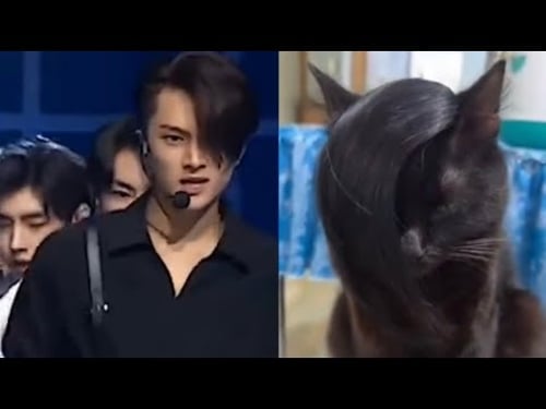 offensive boy group memes that haunts me at night