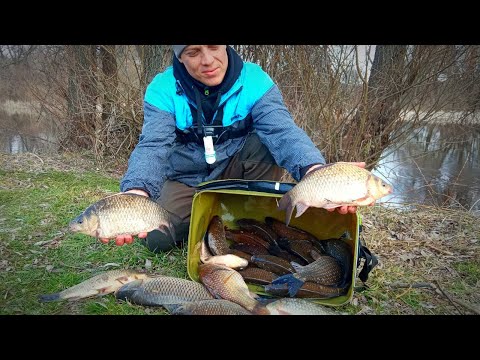 ТАКУ РИБАЛКУ ЧЕКАЄШ ЦІЛИЙ РІК. Рибалка на фідер весною 2024