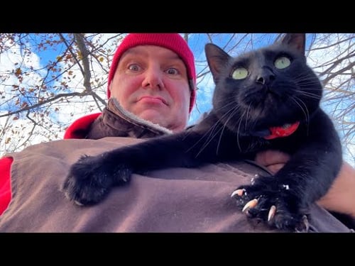 Dawn Til Dusk on our Small Farm in Canada