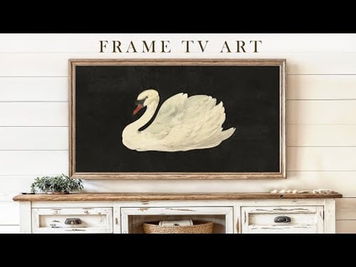 Swan | Vintage Frame TV Art | Black Background | Screensaver For Your TV | 1Hr of 4K HD Paintings