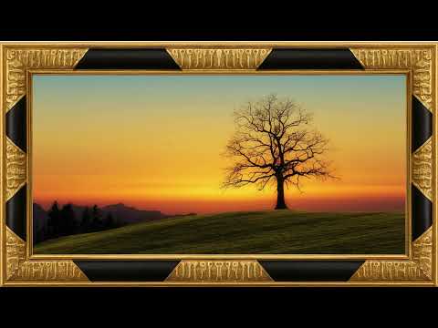 Tree | Frame TV Art 4K Screen Saver | Gold Framed Art Screensaver for TV