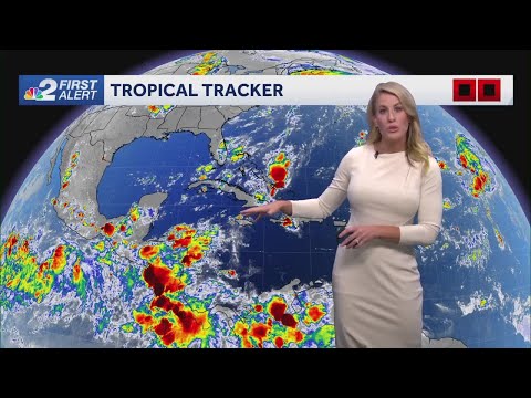 Tropical system could move into Gulf of Mexico next week - Sept. 19, 2024.
