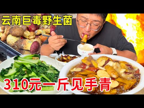 云南红河大山里吃“巨毒”野生菌,见手青310元一斤,厚切油爆太生猛#麦总去哪吃