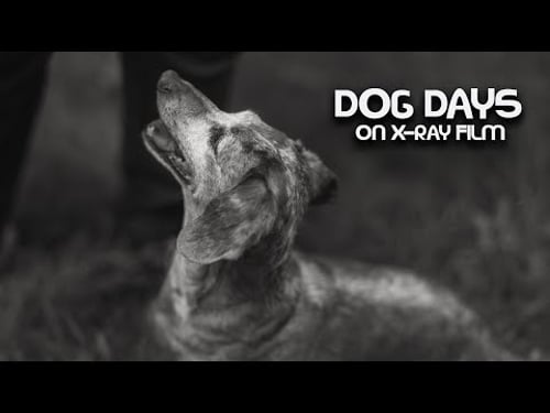 8x10" X-Ray Film, Mail Time, and 4x5" Polaroids - Large Format Friday