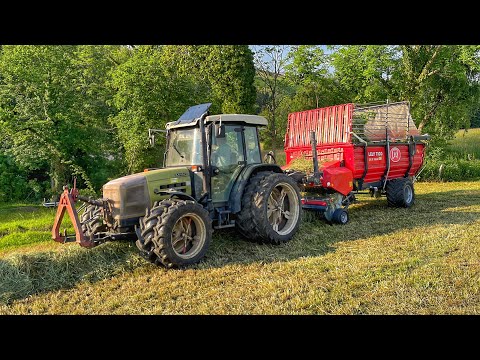 The BOSS entrusted the harvesting to SINA. A Ukrainian on a farm in Switzerland