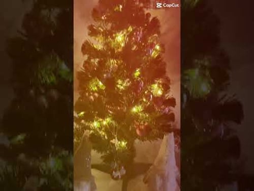 My baby Christmas tree !!!! 🎄