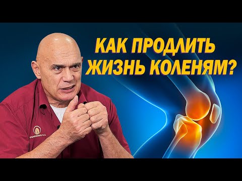 What determines the life of the knee joint? Causes of knee pain and rehabilitation for arthrosis ...