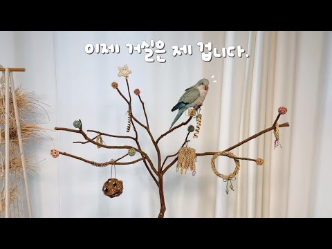 거실을 점령한 앵무새 놀이터!(놀이터 소개)