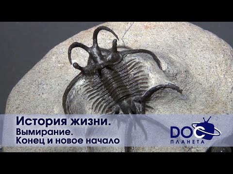 История жизни - Часть 5.Вымирание. Конец и новое начало - Документальный фильм
