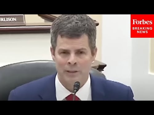 'Proof That That Evil Does Exist': John McGuire Condemns 'Egregious' Examples Of Animal Testing