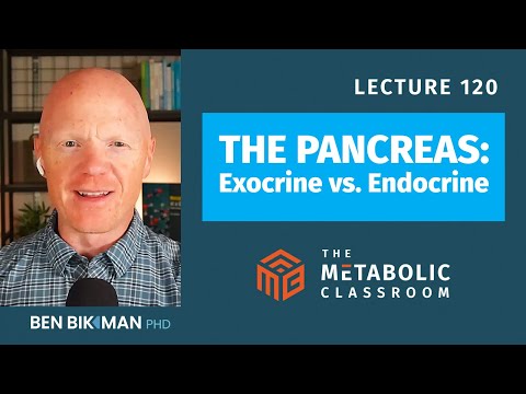120: The Pancreas - Our Most Underrated Metabolic Organ & Why Its Health is Vital w/ Dr. Ben Bikman