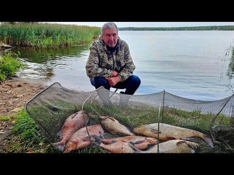 Первый Раз Такие Лещи на Чигиринском Водохранилище! Рыбалка с Ночевкой. Жор Леща на Фидер.