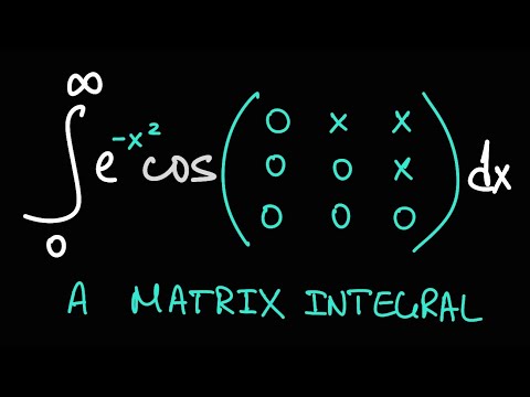 A very interesting matrix integral