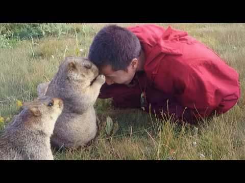 When Animals and Humans Share the Cutest Moments 😍