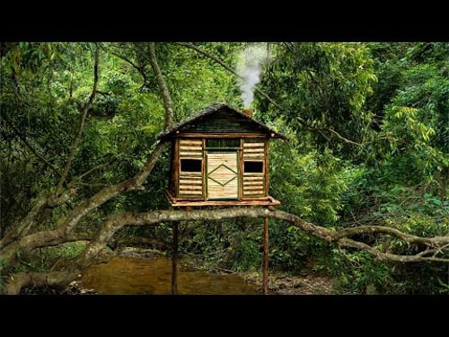 SOLO Survival Camping - Build A Bushcraft Shelter In Tall Trees, Clay Fireplaces, Cooking in Trees