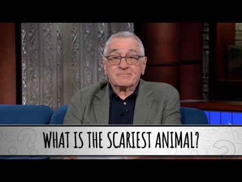 Robert De Niro Takes The Colbert Questionert