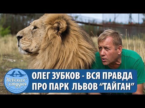 Олег Зубков ПАРК ЛЬВОВ ТАЙГАН (ЧЕЛОВЕК-ЛЕВ) про семью, арест, бизнес, КРЫМ Россию Украину и скандалы