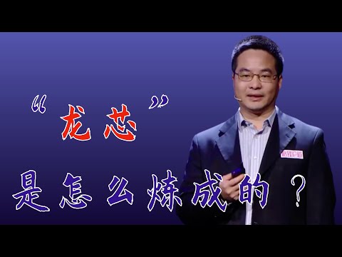056|张福新:它的横空出世,结束了中国信息产业的“无芯”历史|中科院计算技术研究所|格致SELF