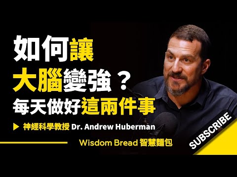 如何讓大腦變強?► 每天做好這兩件事 🧠 - Dr. Andrew Huberman 安德魯.胡伯曼博士(中英字幕)