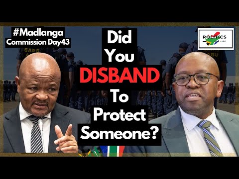 Madlanga Grills Minister Senzo Mchunu on PKTT 31 December Directives