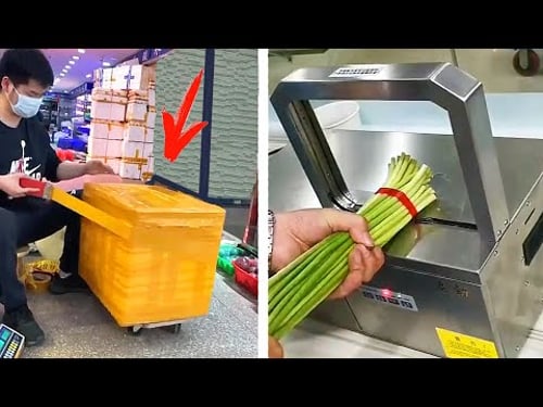 Ingenious Builders and high level Professional Workers