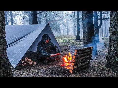 Camping in Nature | 24/7 Relaxing Campfire Ambience for Sleep & Study