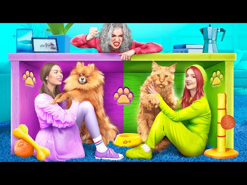 Строим секретные домики для животных