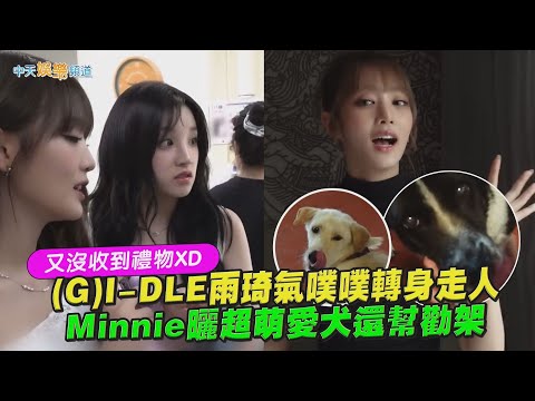 【撩星聞】又沒收到禮物XD (G)I-DLE雨琦氣噗噗轉身走人 Minnie曬超萌愛犬還幫勸架