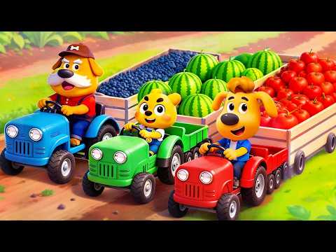 Dodo Learns to Harvest | Fun Adventures at the Farm | Kids Cartoon | Sheriff Labrador