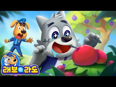 야생열매를 함부로 먹지 말라요!🚫 + 동화 모음집 | 약은 사탕이 아니야 | 안전교육 | 경찰동화 | 래브라도 경장 동화
