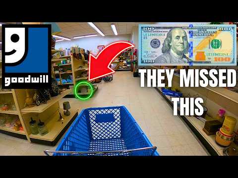 Everyone Passed by These $100 Thrift Store Finds