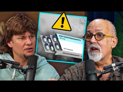 Does Taking SSRIs Damage Our Brain?