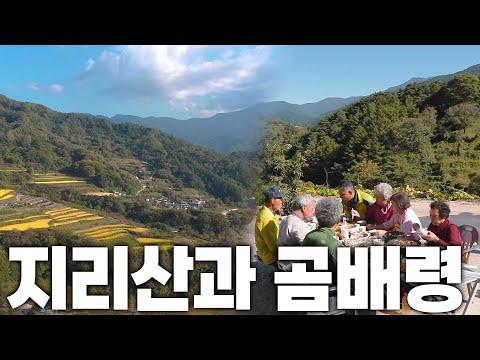 자연이 차려준 건강한 밥상🍚 지리산과 곰배령 KBS 231104