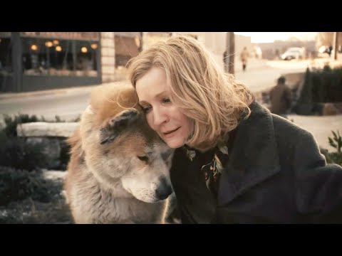 再相爱的人都无法保证忠诚,而狗却做到了从一而终,9.4分治愈电影,150万人打出9.4高分,19分钟看完2009年真实事件改编电影《忠犬八公》