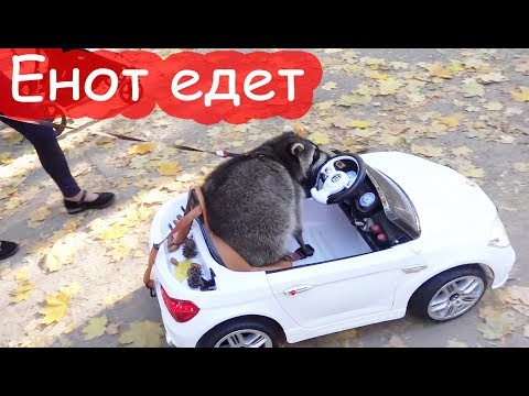 VLOG Лимон, Алиса и Даша на детской площадке