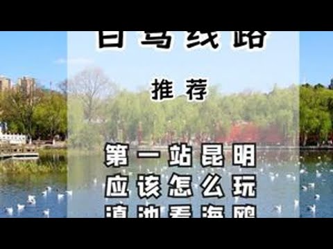 前往云南自驾游,第一站昆明市游玩全攻略,包含小众的全景观景台 本着来都来了的原则,平头哥来给大家介绍一下,云南自驾游中,必定会经过的省会城市昆明,有那些值得一去的游玩点,以及前往这些游玩点都有什...