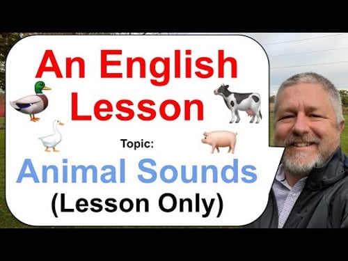 Let's Learn English! Topic: Animal Sounds! 🐄🐖🦆 (Lesson Only)