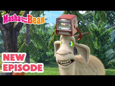 Masha and the Bear 2025 π¬ NEW EPISODE! π Run Wild ππΊ π¬ Best cartoon collection