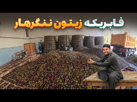 افغان سین - دیدار هادی صافی از بزرگترین فابریکه پروسس روغن زیتون در ولایت ننگرهار