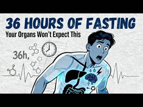 What Happens to Your Organs During 36 Hours of Fasting (Your Body Goes Wild)
