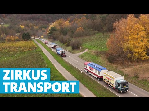 Transport im Schneckentempo: So werden Zirkuswagen von Pirmasens nach Landau gebracht