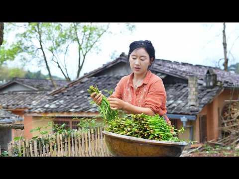 Edible Wild Herbs挖野菜 - 水芹菜&酸桿桿 | 春天的慷慨藏在每一株野菜裡,不起眼的小草,也能釀造春天的美麗。 【鄉愁沈丹 Shen Dan】