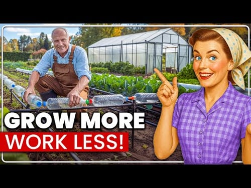 75 Ways Your Grandpa Grew MORE Food From LESS Work