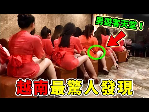 越南最驚人的10個發現,12生肖中國有貓只能排到第十,第一名堪稱男人縱情享樂的天堂,專家卻警告想活命千萬別去!