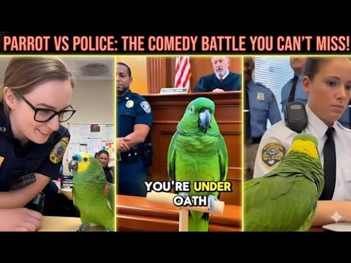 My Amazon Parrot Actually Roasted a Police Officer! ๐ ๐บ๐ธ